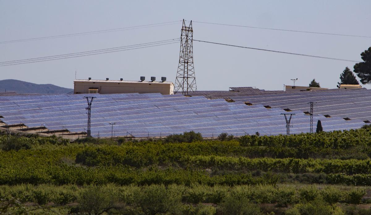 Planta fotovoltaica en Belgida.