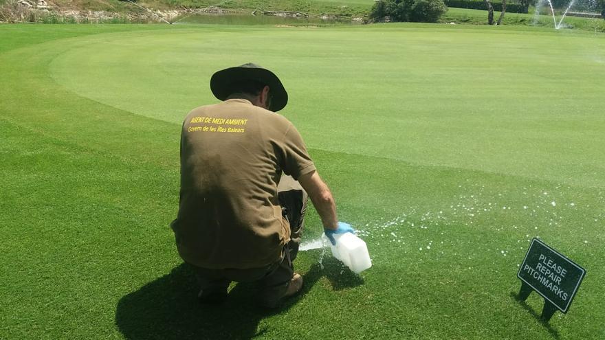 Dos campos de golf de Mallorca recurren las multas del Govern por regar con agua subterránea
