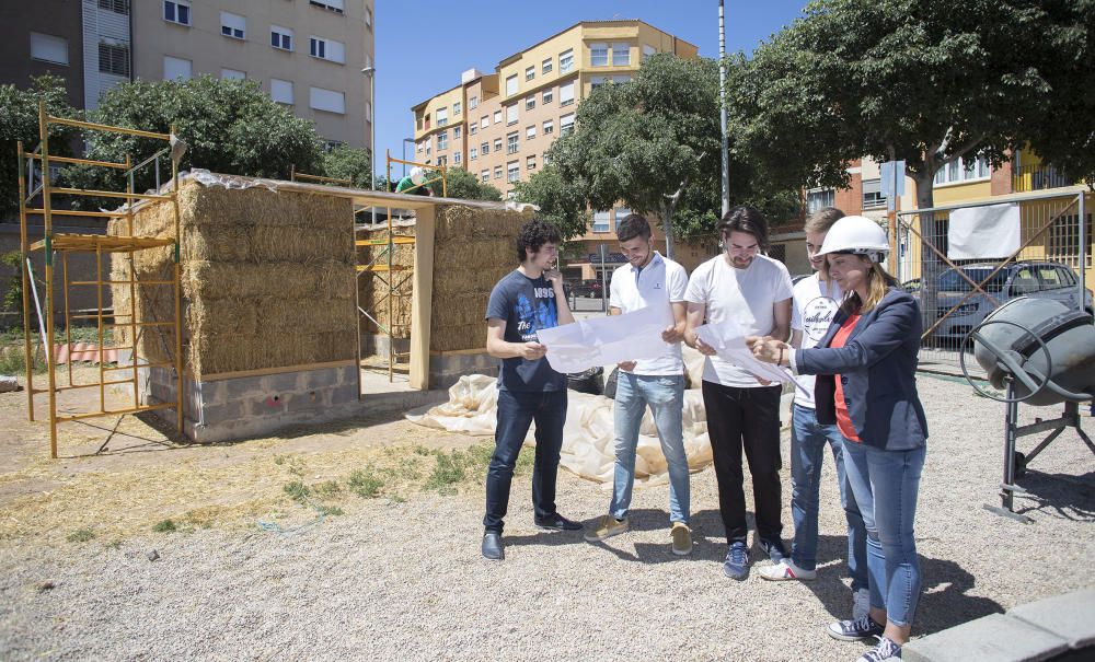 Hort interdisciplinari a l'IES Maltide Salvador de Castelló