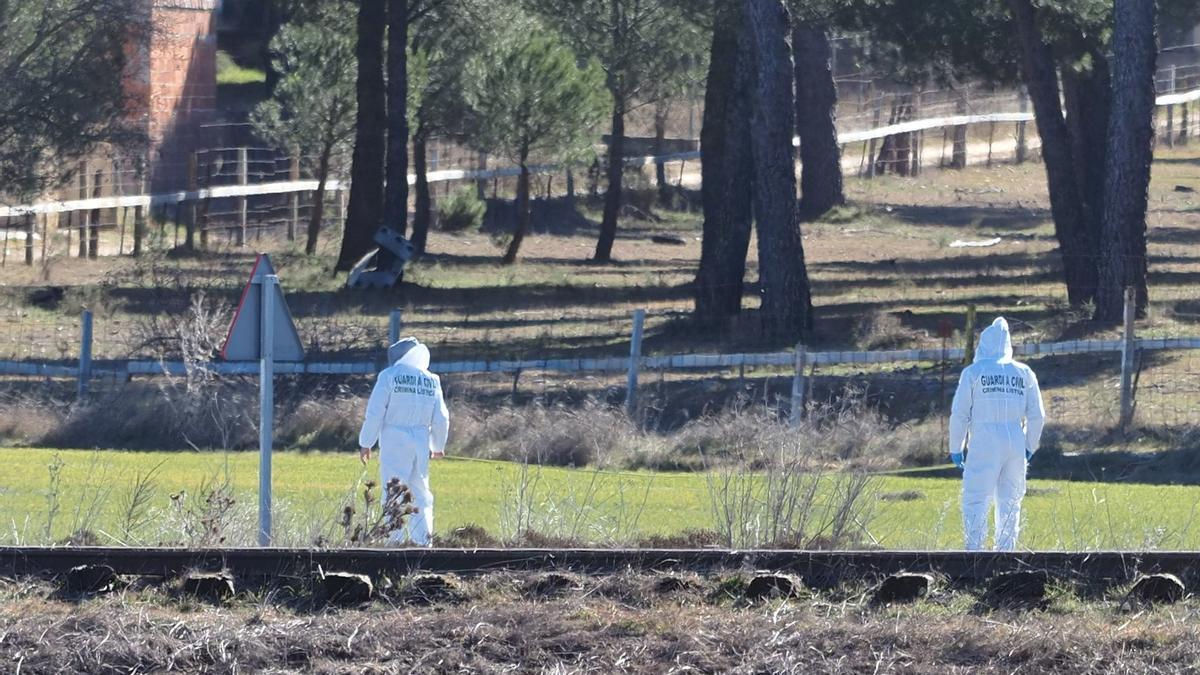 Esther López murió de hipotermia tras ser atropellada