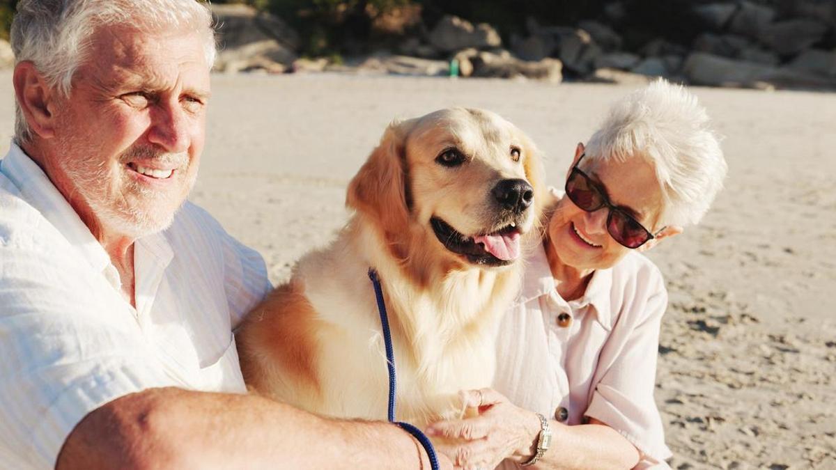 La Declaracion de la renta incorpora deducciones por gastos veterinarios y aclara las obligaciones de los pensionistas