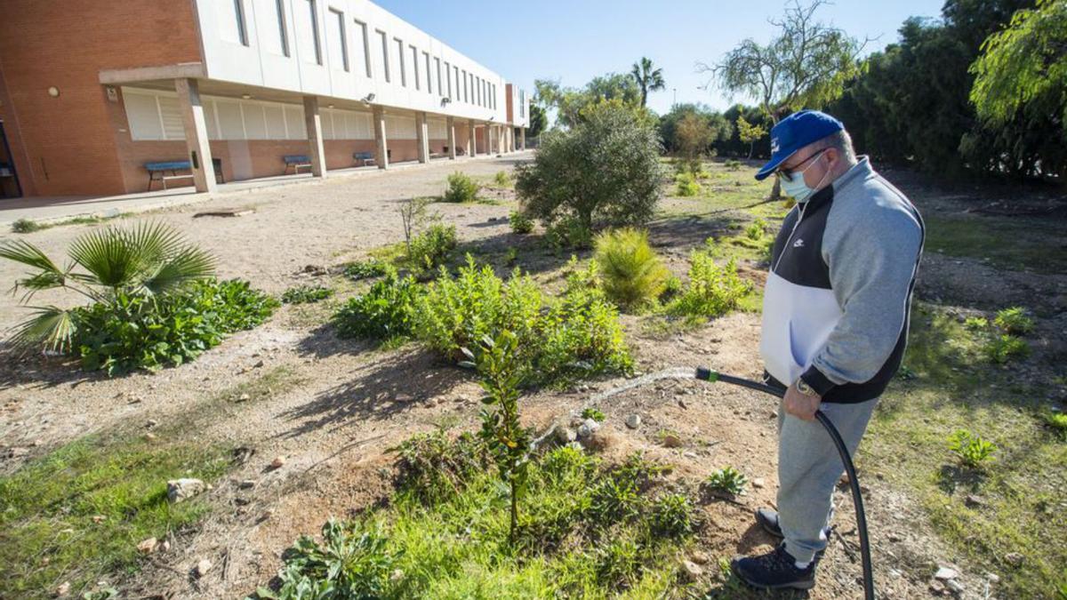 Un profesor riega el inicio de bosque del IES Las Salinas. | I.J.U.