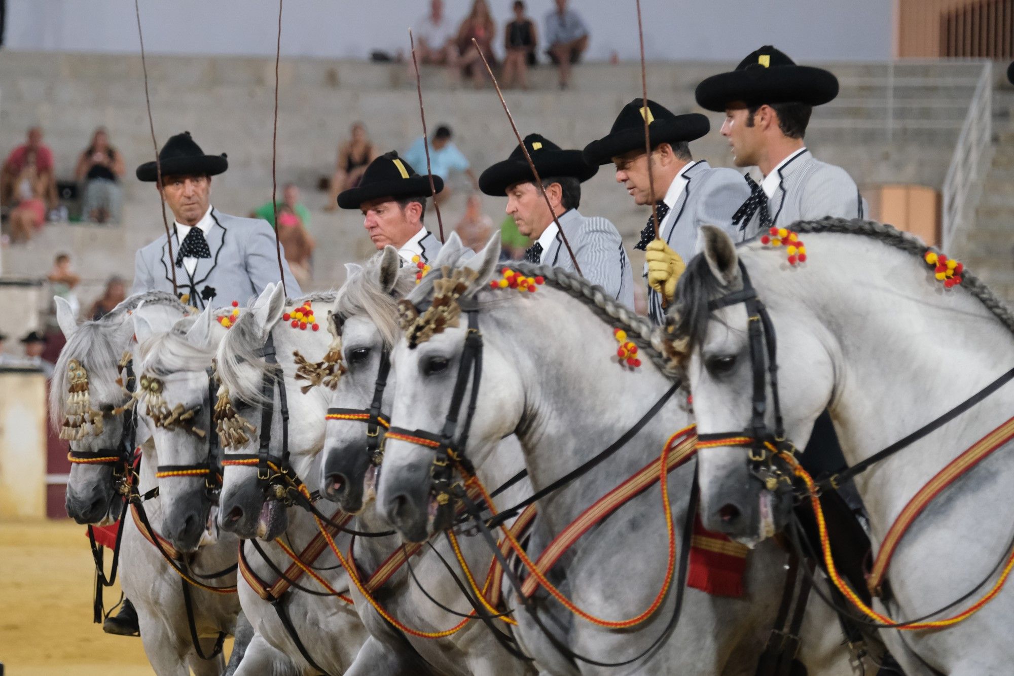 Los caballos andaluces bailan sobre el albero de La Malagueta