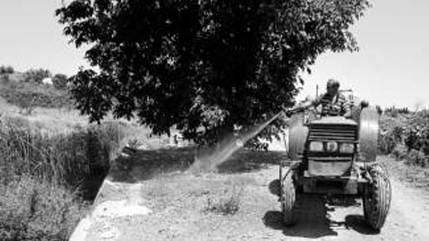 Continúan los trabajos en los caminos rurales