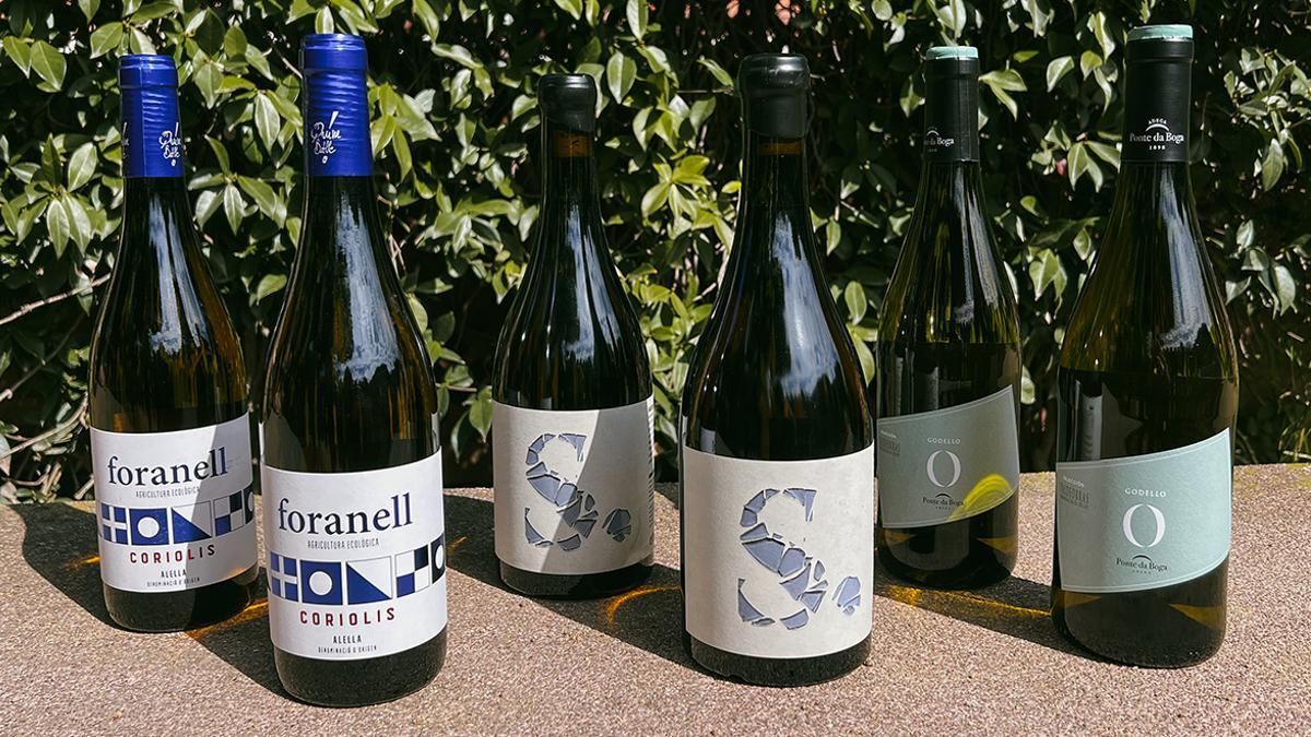 Vinos blancos de altura procedentes de tres zonas vinícolas únicas: Alella, Terra Alta y Valdeorras