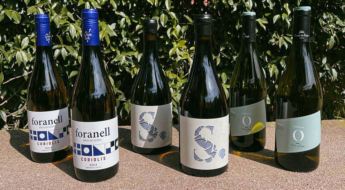 Vinos blancos de altura procedentes de tres zonas vinícolas únicas: Alella, Terra Alta y Valdeorras