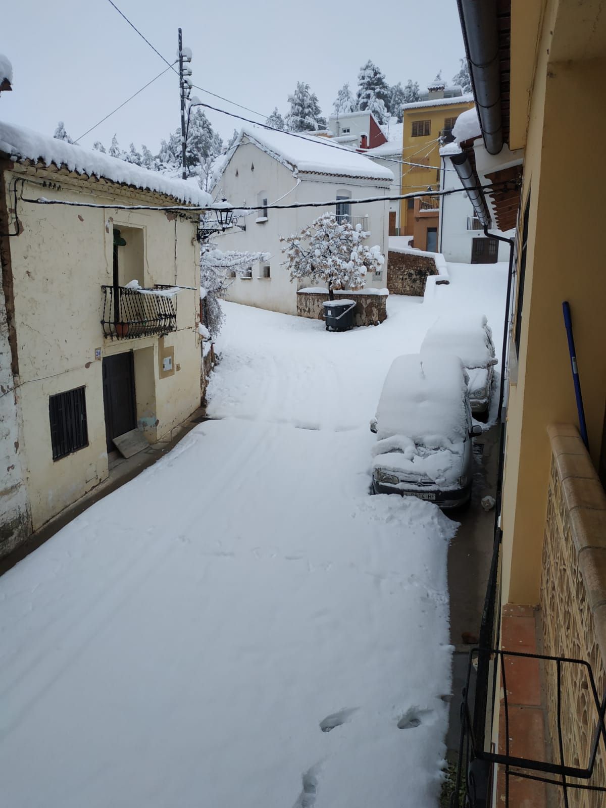 Nevada en Bejís