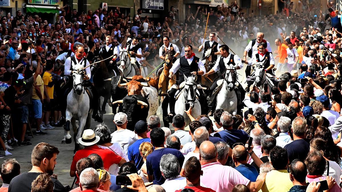 Un instante de la Entrada de este domingo, la última de la semana taurina en Segorbe.