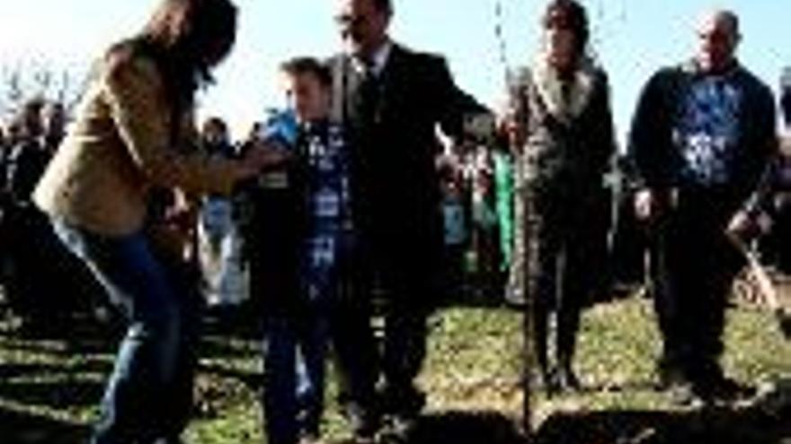 Villanueva de la Sierra quiere exportar la Fiesta del Arbol al resto de España