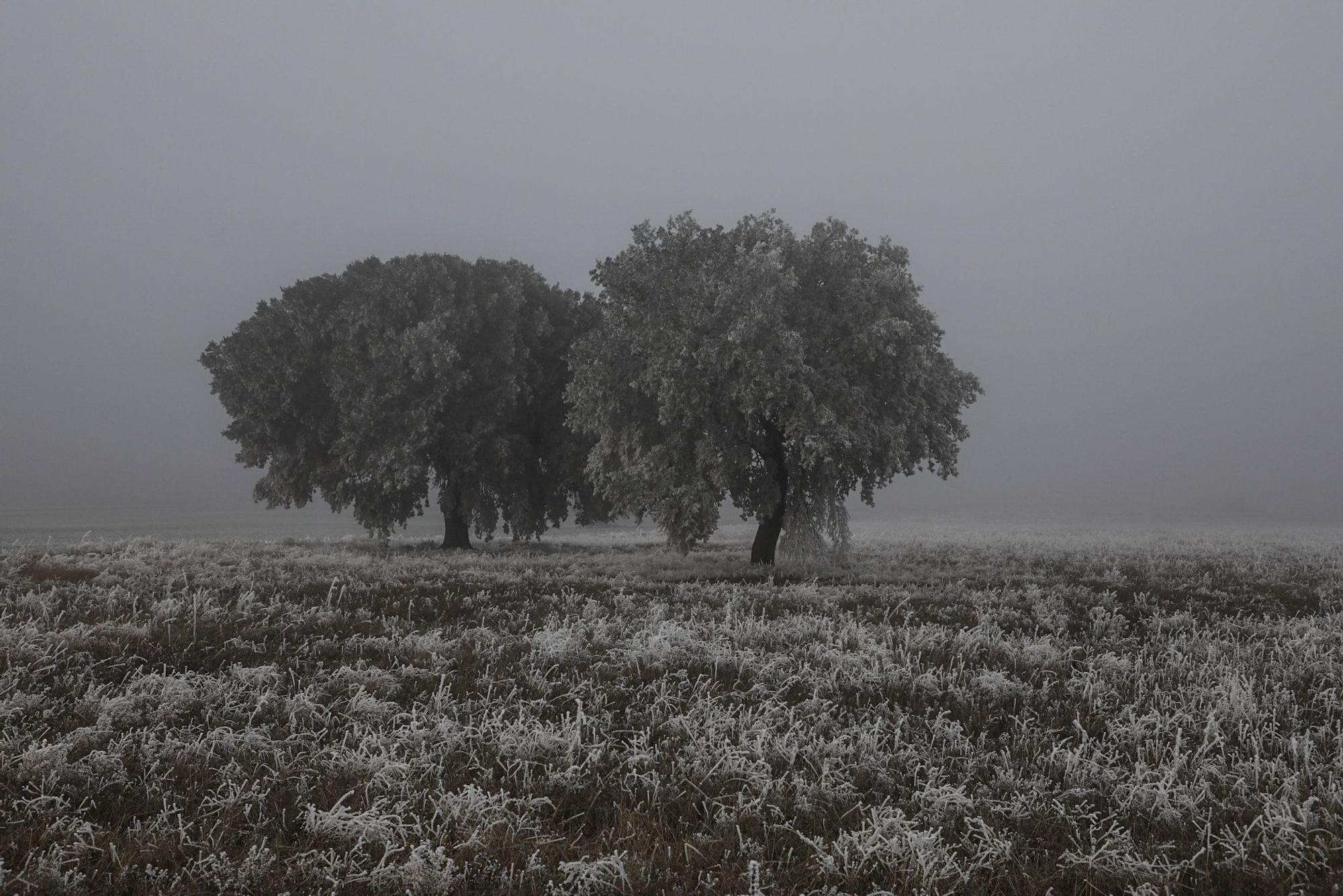Paisajes de una Zamora escondida bajo la niebla