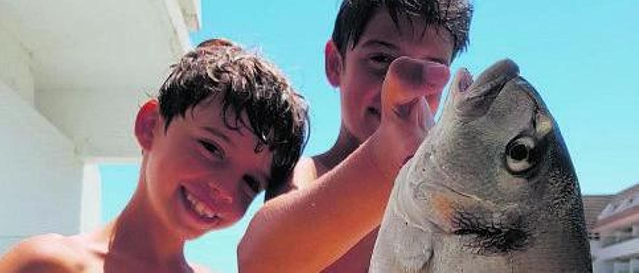 Martí (8) y Pau (10) Ferrer Beltrán se asoman de nuevo un año después a esta página para demostrar la regeneración gracias al confinamiento de la costa de Alcúdia, donde han pescado a pie de playa una magnífica dorada de 5,5 kilos, en el mar de todos los mallorquines.