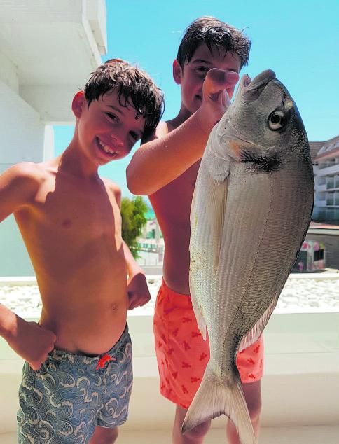 Martí (8) y Pau (10) Ferrer Beltrán se asoman de nuevo un año después a esta página para demostrar la regeneración gracias al confinamiento de la costa de Alcúdia, donde han pescado a pie de playa una magnífica dorada de 5,5 kilos, en el mar de todos los mallorquines.