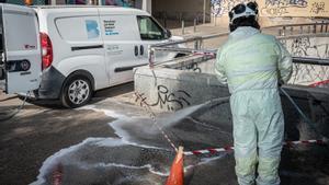 Un operario limpia unas pintadas en la plaza de Castella, en el barrio del Raval de Barcelona. 