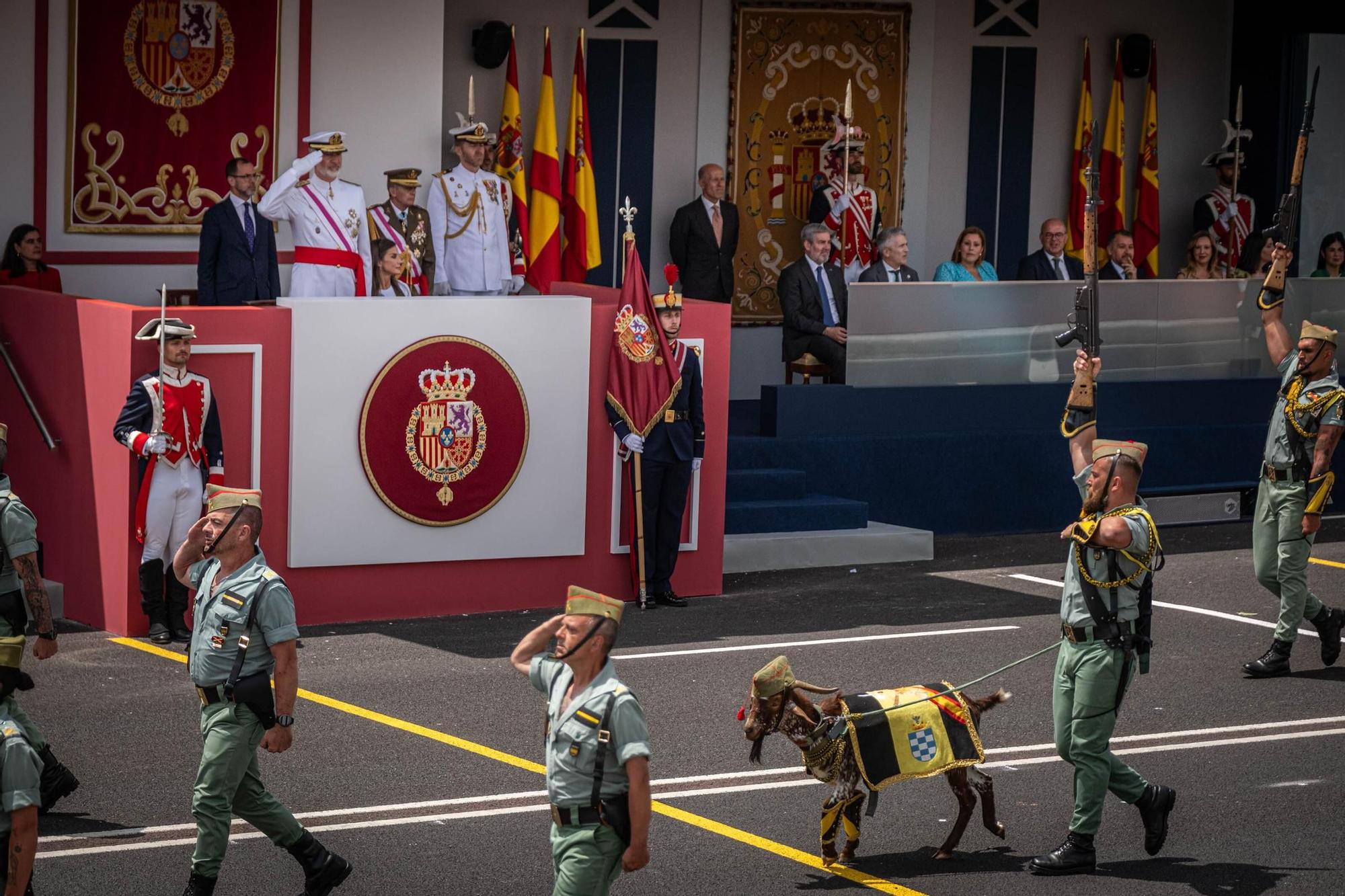 Las mejores imágenes del desfile militar de las Fuerzas Armadas en Tenerife con la presencia de Sus Majestades los Reyes