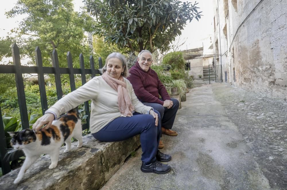 El Convent de les Caputxines de Palma muestra sus secretos