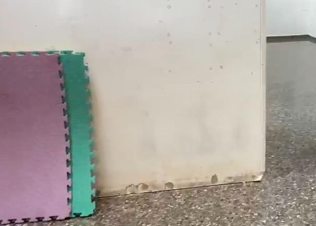 Moho en las instalaciones del colegio.