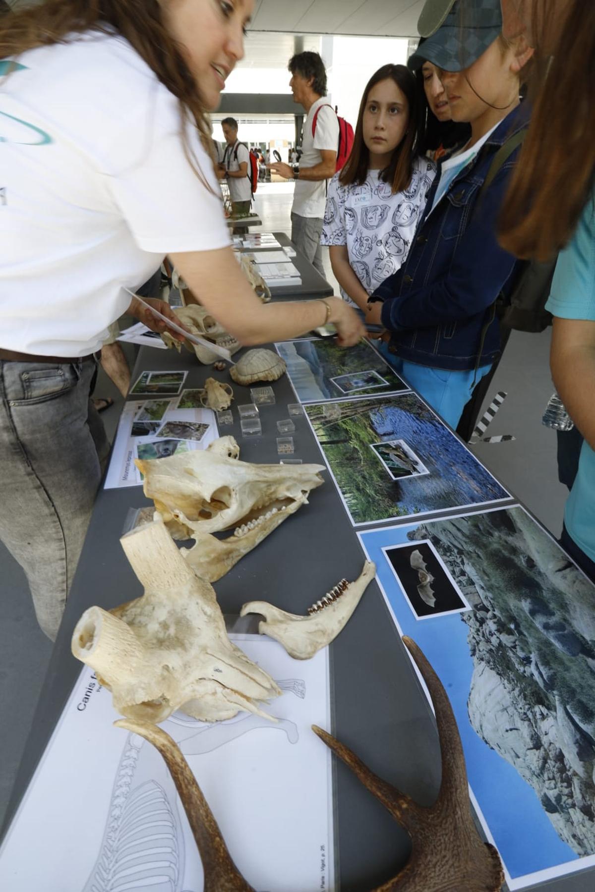 Miles de jóvenes se acercan a la ciencia en la Expociencia en el Parc Científic de la UV