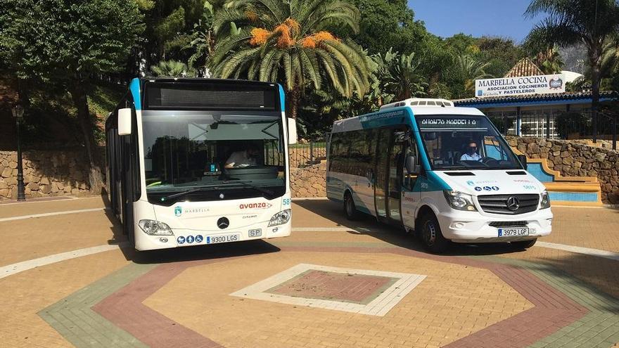 Los dos vehículos que refuerzan la flota del transporte urbano.