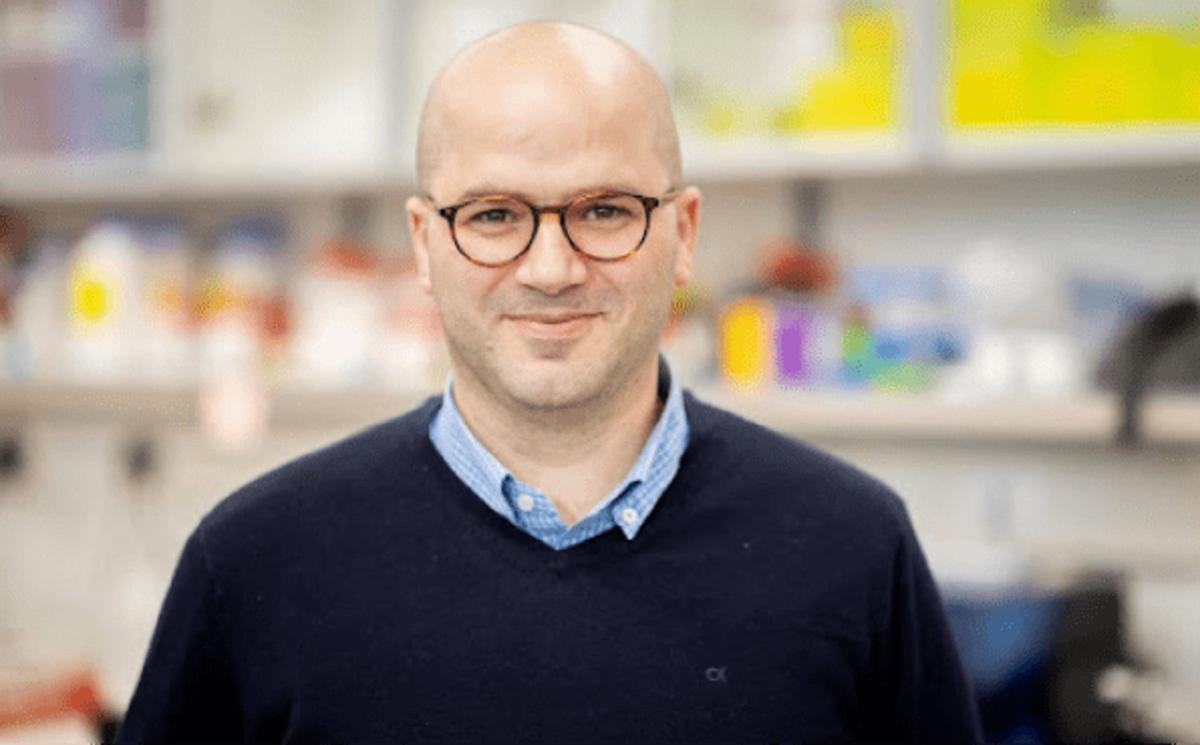 El profesor Haitham Amal