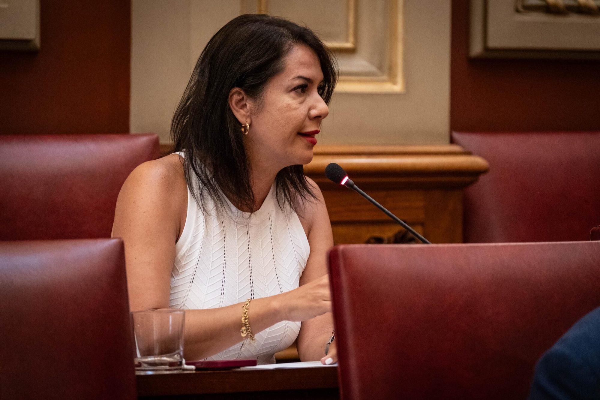 Comisión de control del Ayuntamiento de Santa Cruz de Tenerife