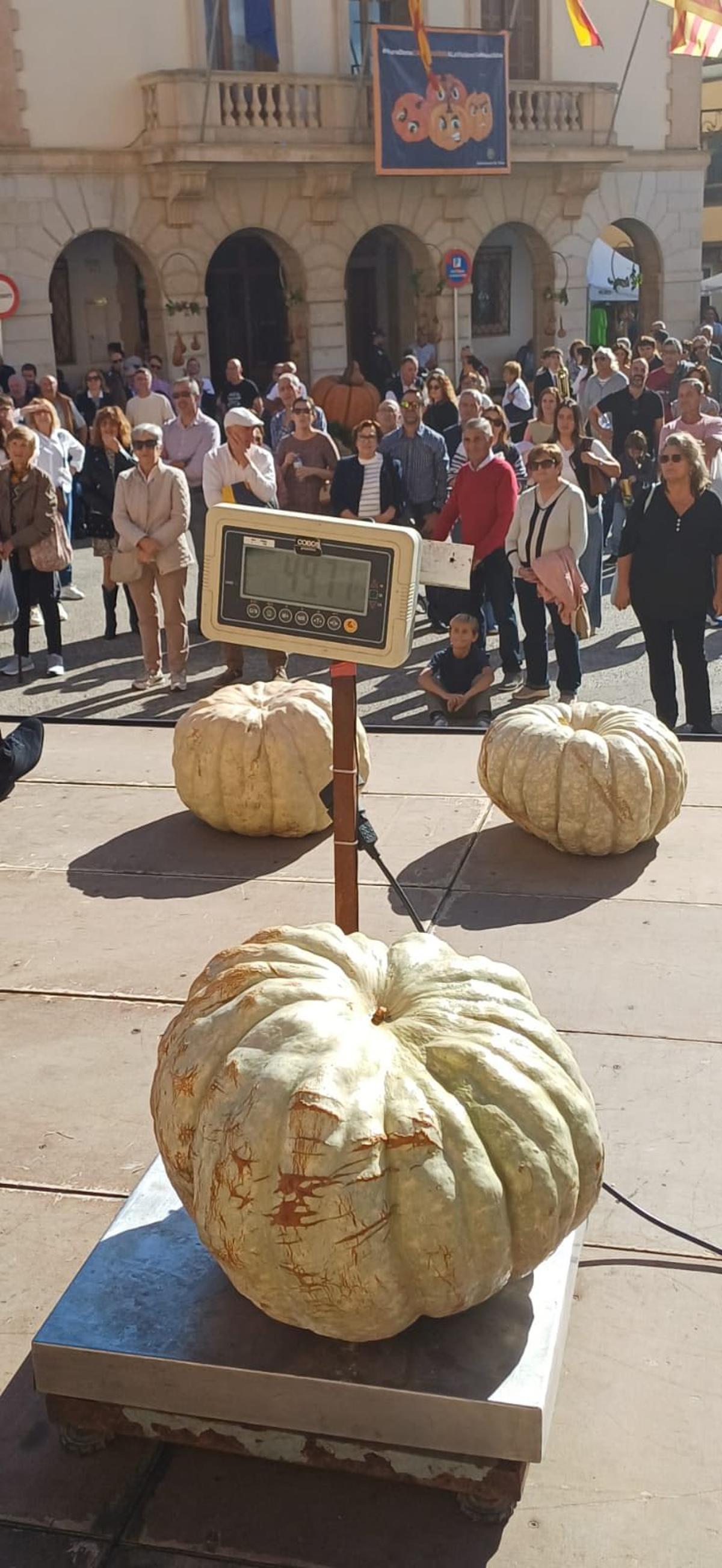 El momento de pesar una de las calabazas participantes.