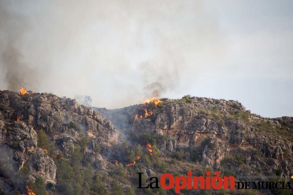 Incendio Sierra del Molino