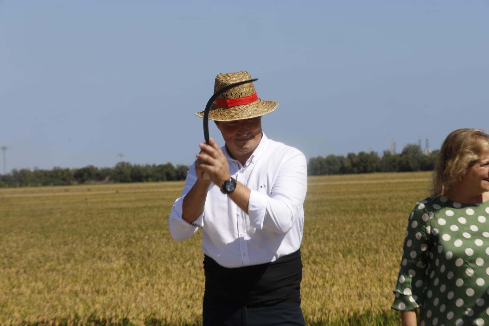 Todas las imágenes de la Fiesta de la Siega del Arroz 2024