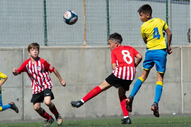 Las Palmas - Huracán (alevines)  | 01/02/2020 | Fotógrafo: Tony Hernández