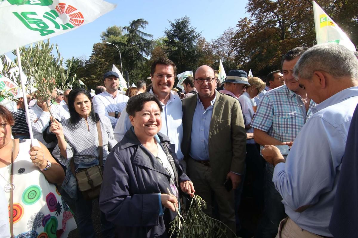 Córdoba se suma a la gran manifestación del olivar en Madrid