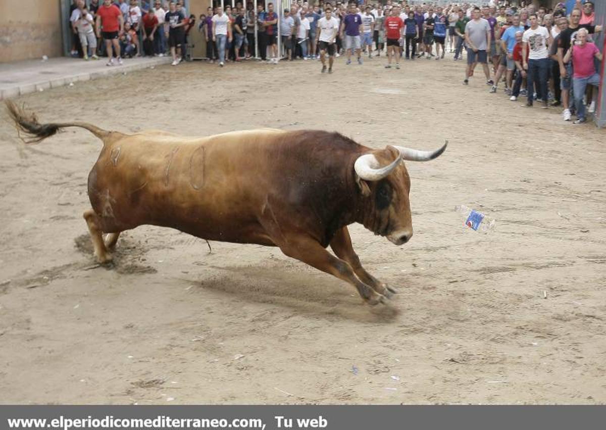 GALERÍA DE FOTOS -- El 'bou per la vila' suma un nuevo corneado