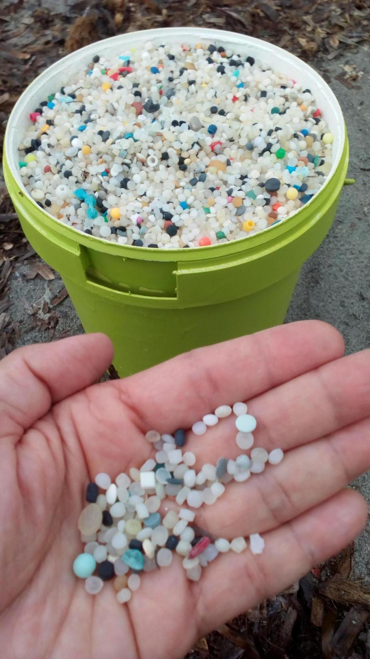 Pellets retirados de las playas de Dénia
