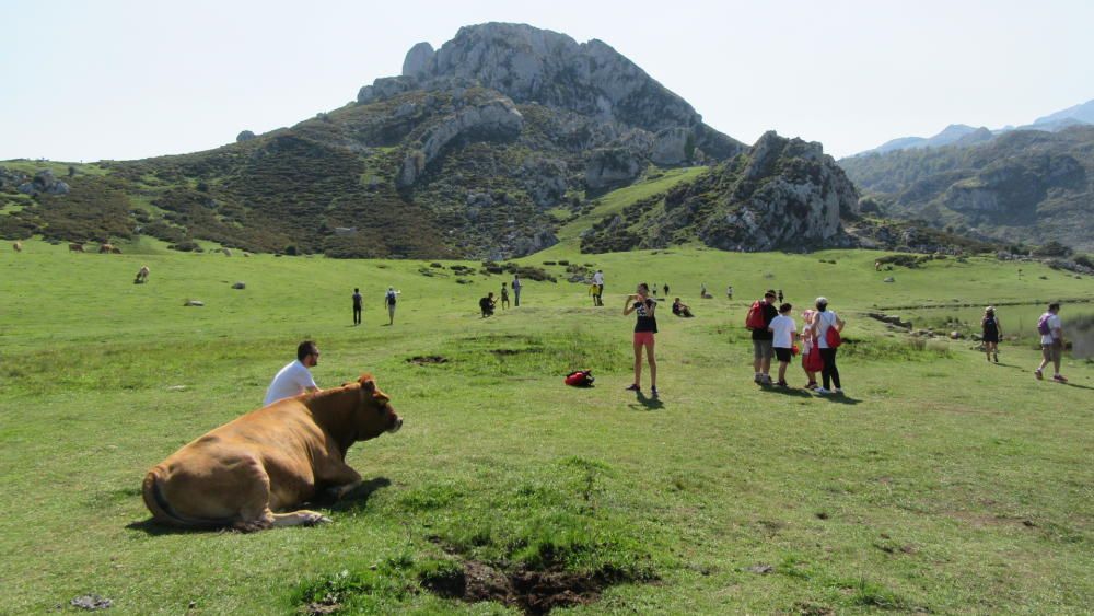 Visitantes en el Parque Nacional de los Picos de Europa.