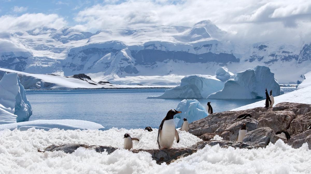 La Antártida: llegó el momento de vivir una aventura a lo grande