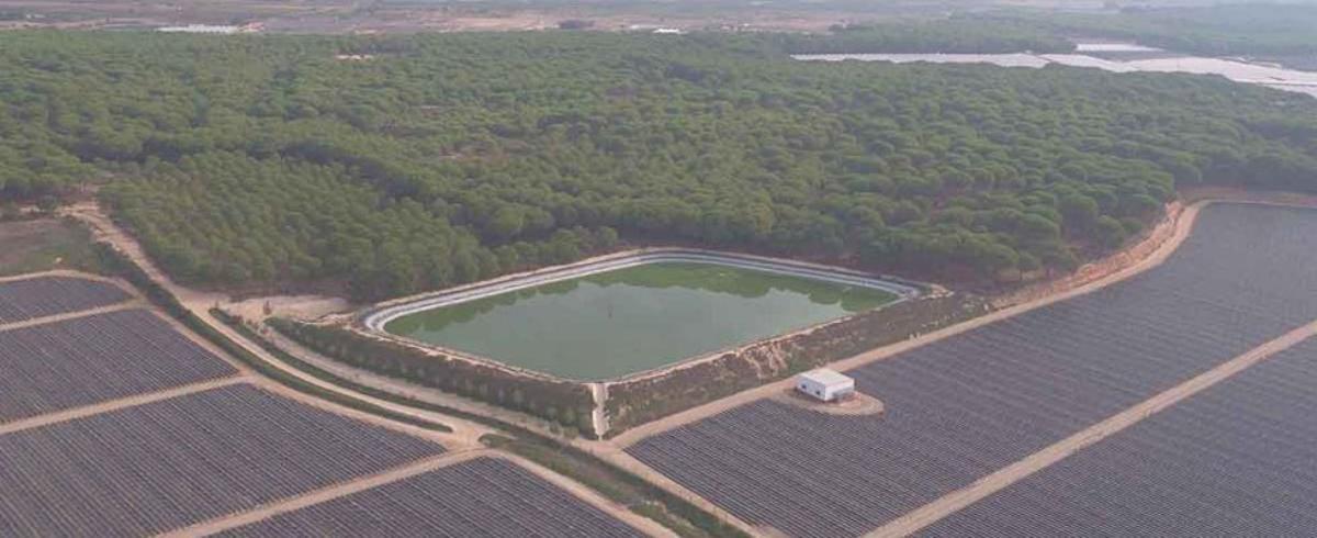 Cultivos de regadío en Doñana