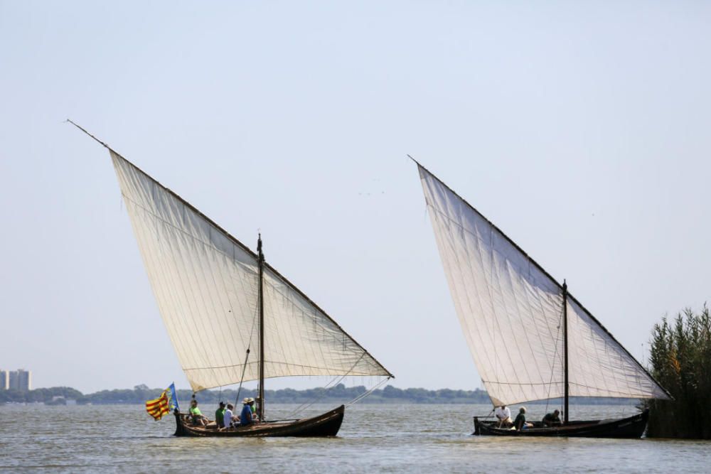 Regata-exhibición de vela latina en l'Albufera