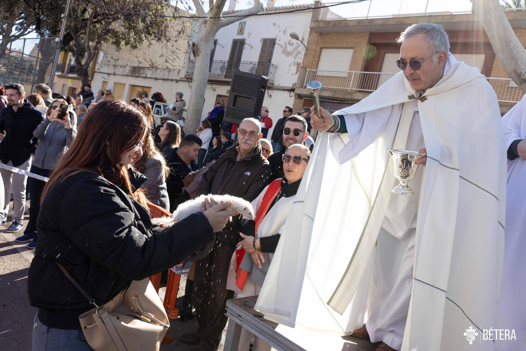 La bendición de los animales de Bétera por Sant Antoni.