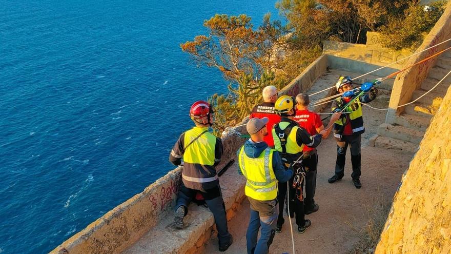 Großeinsatz auf Mallorca: Kleine Hündin nach Sturz von Steilklippe gerettet