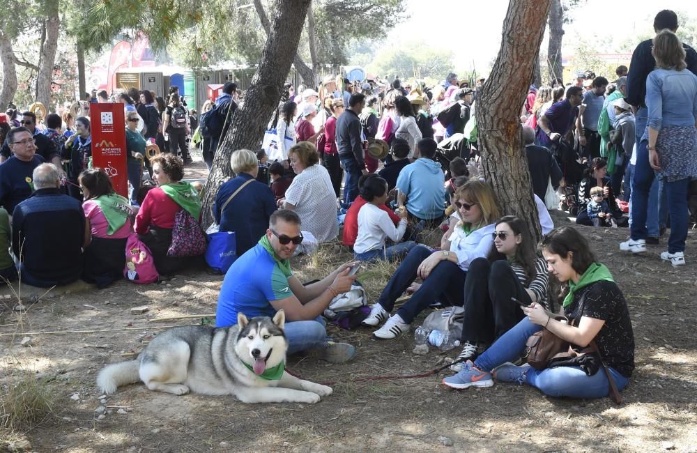 Magdalena 2017: Primera Romeria de les Canyes como BIC