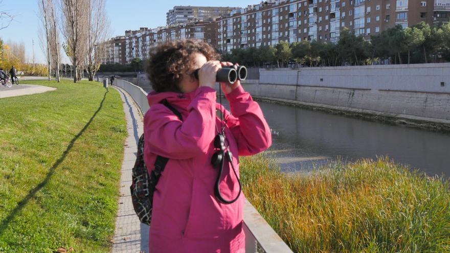 Una mujer observa aves en Madrid.