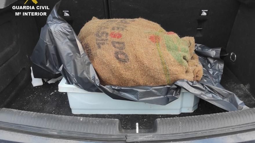 Arrested with 35 kilos of limpets inside a vehicle in Tenerife