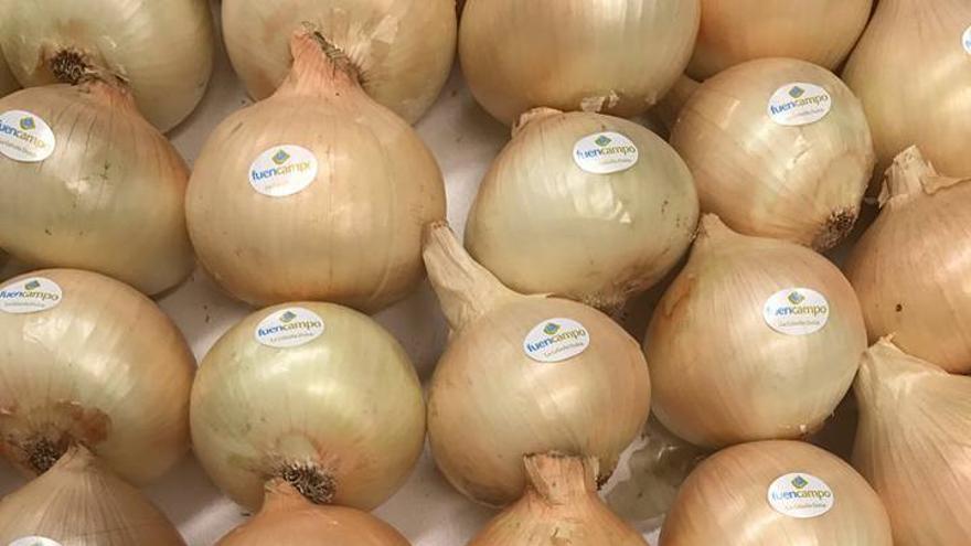 Cariñena marida sus vinos con la cebolla dulce en la I Jornada Gastronómica Fuencampo