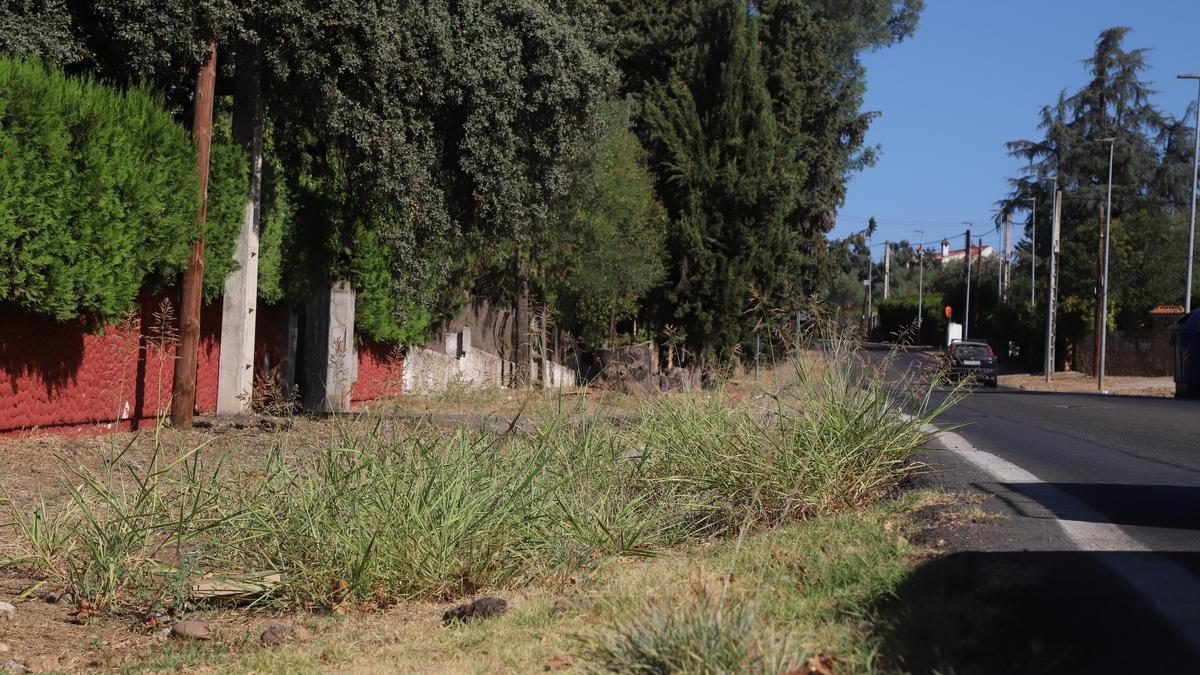 Confluencia de la avenida San José de Calasanz con calle Saldaña.