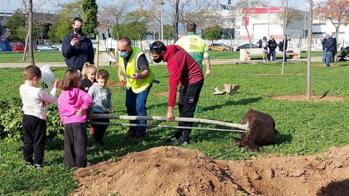 Los más pequeños también quisieron participar en la siembra.