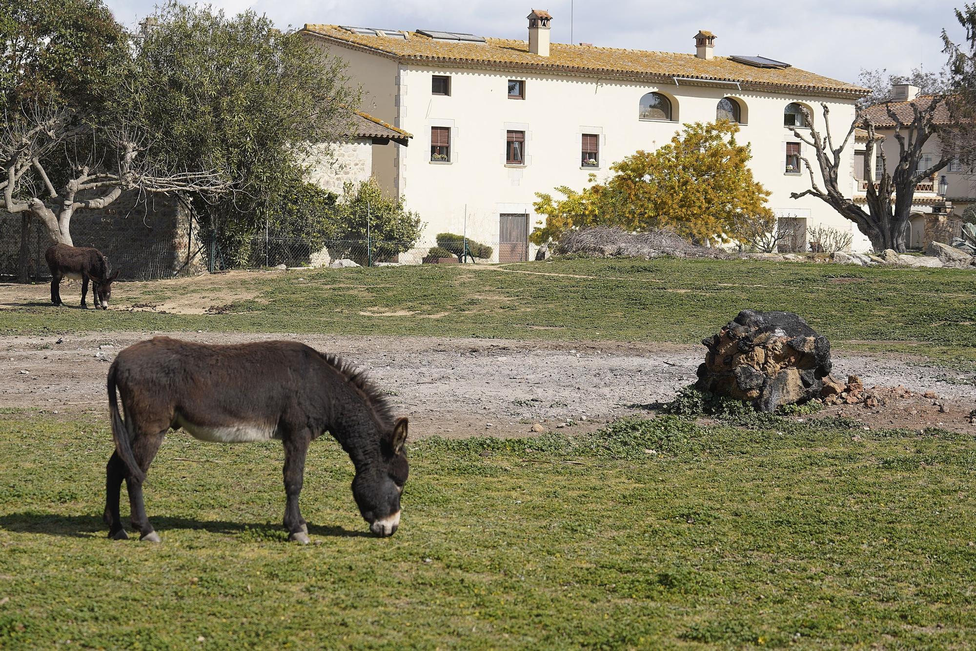 El nou Trueta farà fora una família d’una masia de més de 200 anys