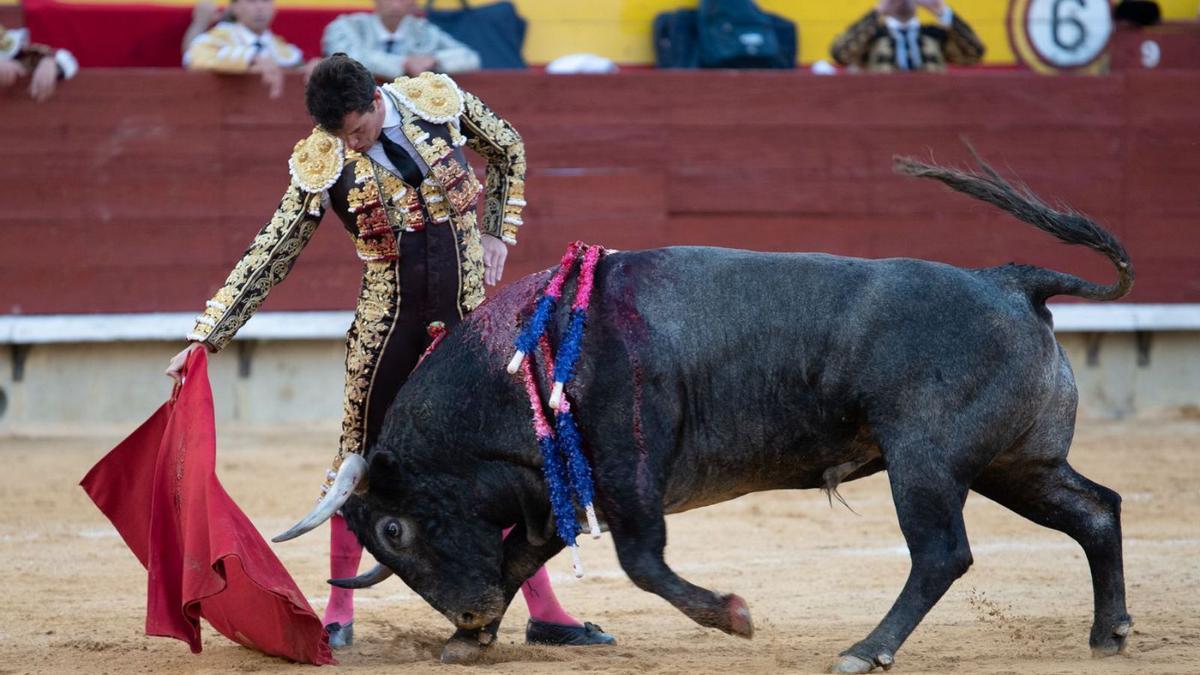 Daniel Luque cuajó de principio a fin al toro ‘Tomatillo’ de Adolfo Martín, que emocionó a los aficionados castellonenses.