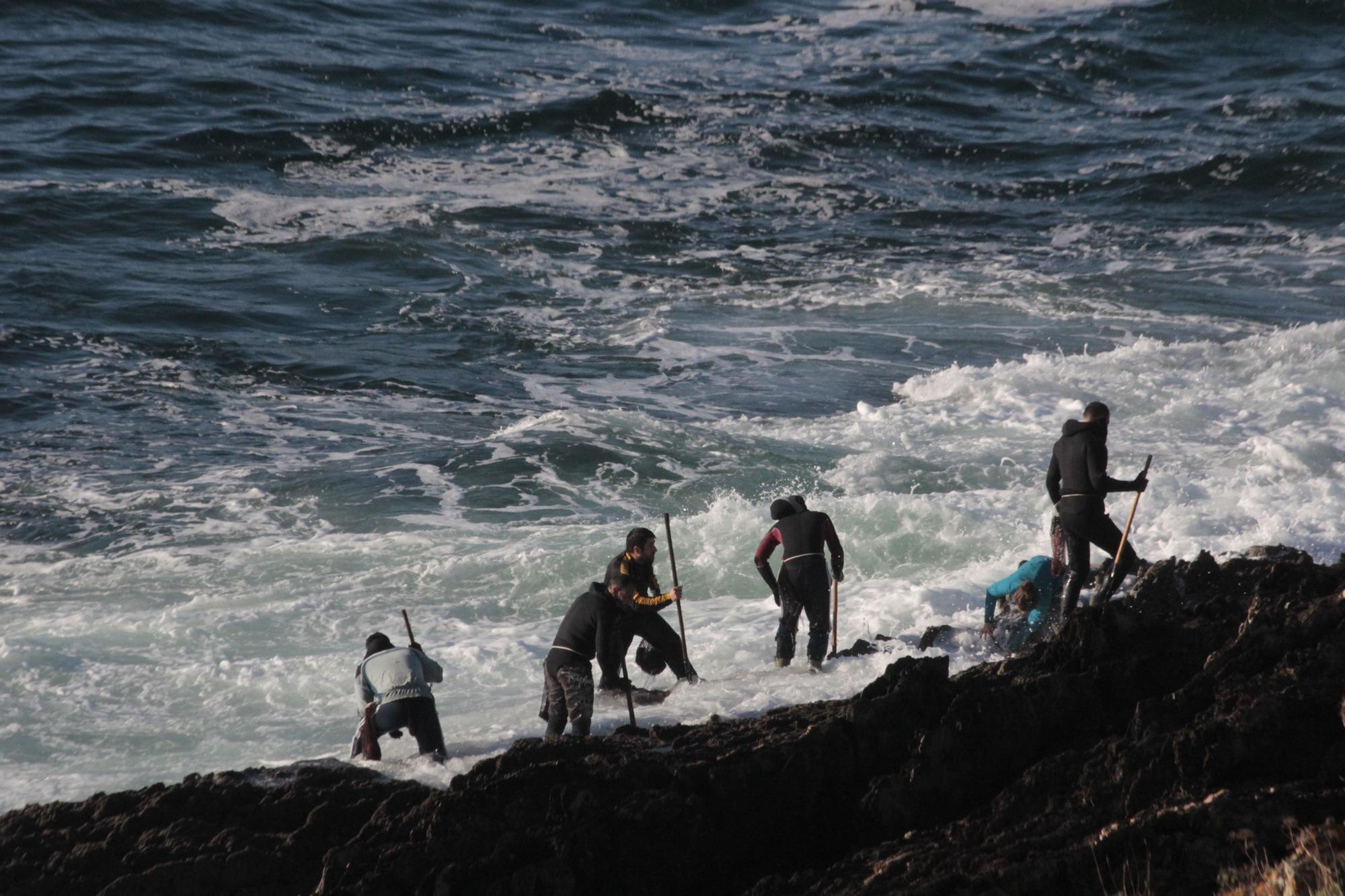 Percebeiros de Cangas vuelven al "manicomio" de la Costa da Vela