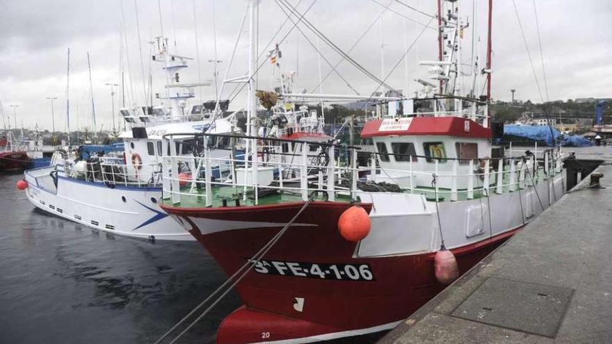 Buques de cerco amarrados en el muelle coruñés de Oza.