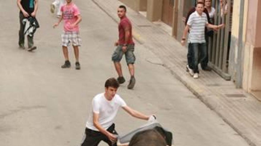 Almassora confecciona esta noche el cartel taurino de las fiestas del Roser