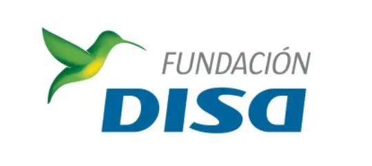 Logo_FundacionDisa