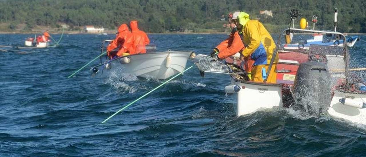 Embarcaciones faenando en uno de los bancos de libre marisqueo. // Noé Parga